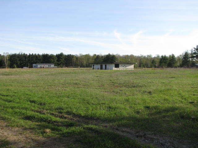 Cinema 2 Drive-In Theatre - Cinema Two By Doug Taylor May 2011 (newer photo)